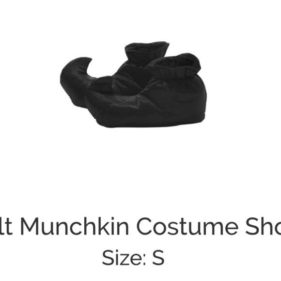 Adult Munchkin costume & shoe covers size small Wizard of Oz, Halloween costume - Picture 3 of 4